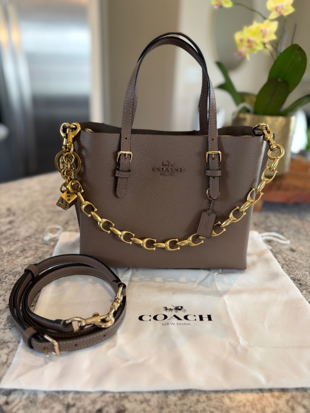 Coach Mollie Tote 25 (Style CV966) Dark Stone EUC